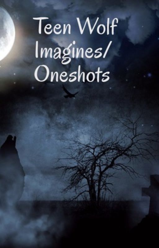 Teen Wolf Imagines/Oneshots by itsMlover