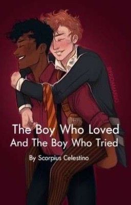 The Boy Who Loved and The Boy Who Tried cover