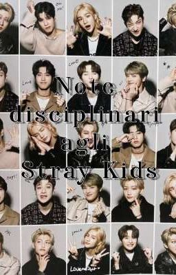 Note disciplinari agli Stray Kids cover