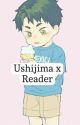 Dense Cabbage (Ushijima x Reader) by ChickenTendous000