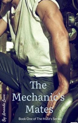 The Mechanic's Mates mxmxm (The Mates Book 1) cover