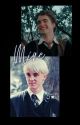 Mine (Draco x reader x Cedric) by giannawritesthings