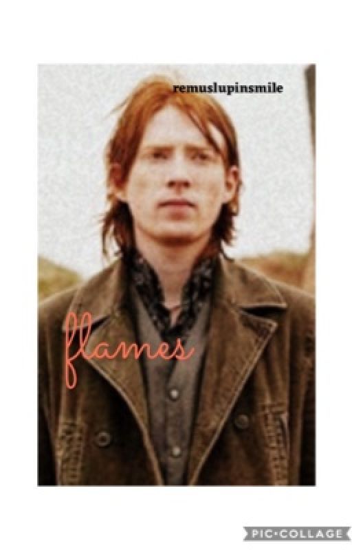 flames • bill weasley by lupinsmile