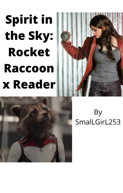 Spirit in the Sky: Rocket Raccoon x Reader by SmalLGirL253