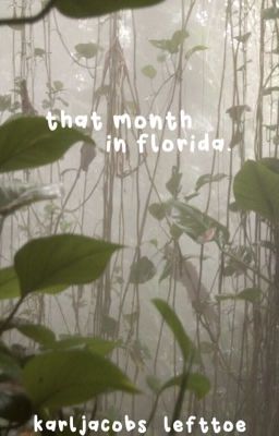 that month in florida - dreamnotfound/gream cover