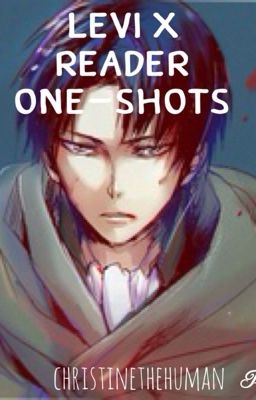 Levi x Reader One-Shots cover