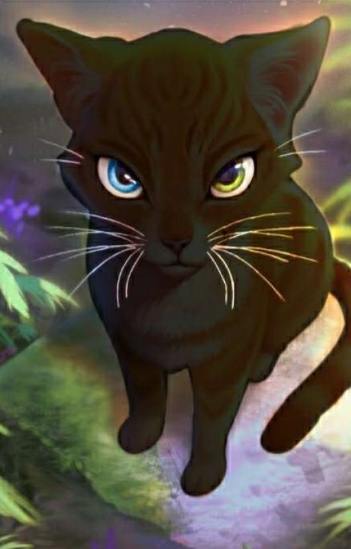 Warrior Cats: Dawn of a new Clan! (fanfiction) by Endther_