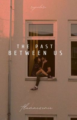 The Past Between Us cover