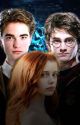 Weasley twin sisters|| Harry Potter Love Story (book 1) by sororal_mea