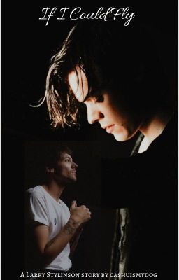 If I Could Fly (Larry Stylinson) cover