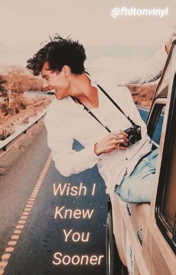 Wish I Knew You Sooner cover