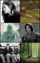 The Chronicles of  Narnia: Prince Caspian by LogansNarnia