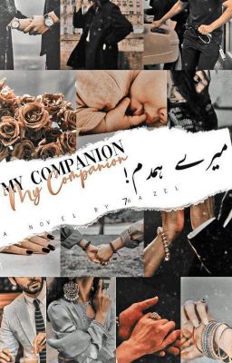 My companion | میرےہمدم cover