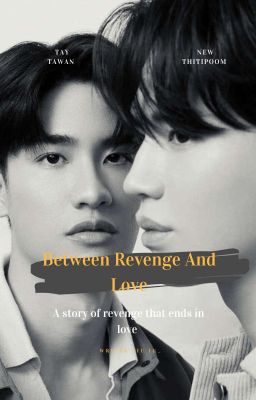 Between Revenge And Love cover