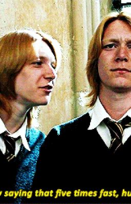 ...Do you, princess? /Fred Weasley x Reader cover