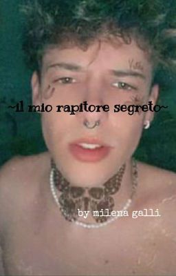 ~IL MIO RAPITORE SEGRETO~ cover