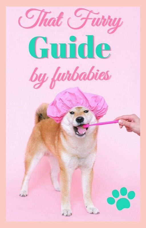 That Furry Guide by Furbabies by WattPetts