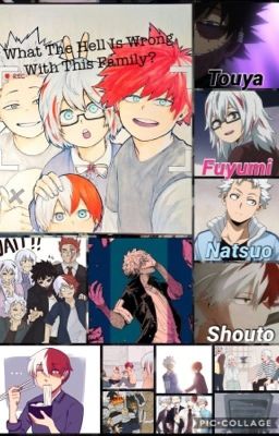 What The Hell Is Wrong With This Family?  (BNHA Chatfic) cover