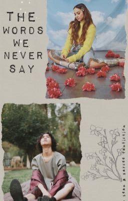 the words we never say cover