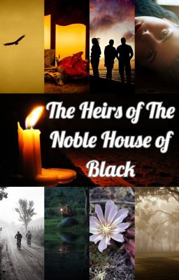 The Heirs of The Noble House of Black cover