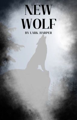 New wolf |Peter Hale x Reader| cover