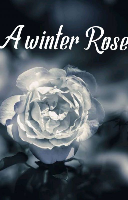 A Winter Rose (A Phantom Of The Opera Fanfic) by cleopetra505