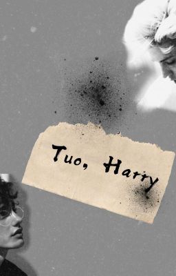 Tuo, Harry cover