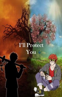 Kidd x Reader {I'll Protect You} AU cover