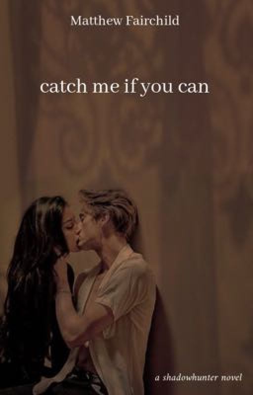 Catch Me If You Can - The Last Hours by gaypaniclightwood