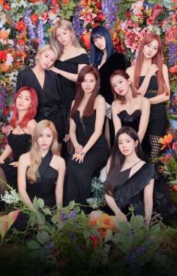 You & Us (Twice x Male Reader)[COMPLETE) cover