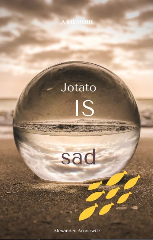 Jotaro is sad by notte_brando_requiem