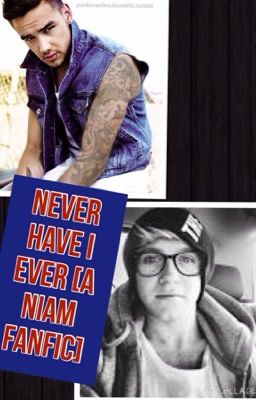 Never Have I Ever [A Niam FanFic] cover