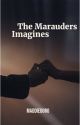 The Marauders Imagines  by maddiedoro