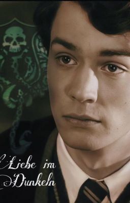 Tom Riddle-Liebe im Dunkeln cover