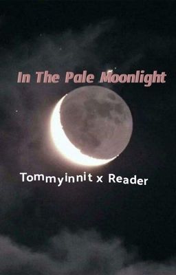 In The Pale Moonlight | Tommyinnit x Reader  cover