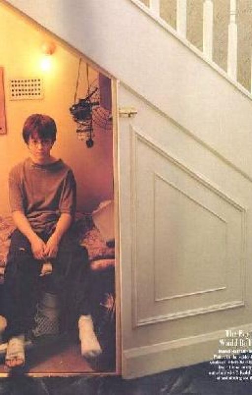 Harry Dursley Potter (a HP fanfic) by ZOEconan