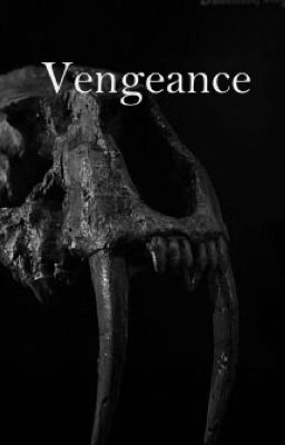 Vengeance cover