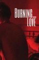 Burning love, (D.M) by coIdhvrt