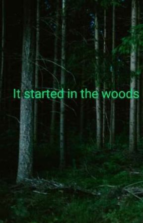 It Started In The Woods by ReadWriteAndRide