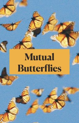 Mutual Butterflies cover