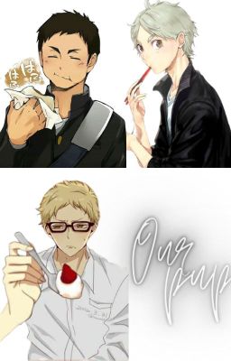 🤍Our pup! Tsukishima x Reader x Sugawara x Daichi |YANDERE| OC🤍 12  cover