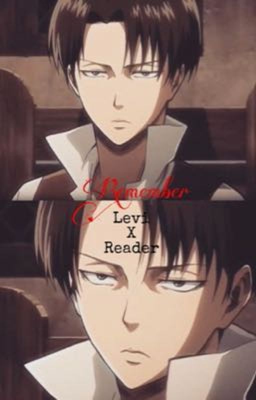 Remember [Levi Ackerman x Fem! Reader] by UshiwakaLackaFlames