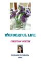 Wonderful Life by marilynbj