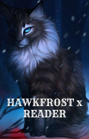 Hawkfrost x reader (She-cat version) by Breezeleaf101