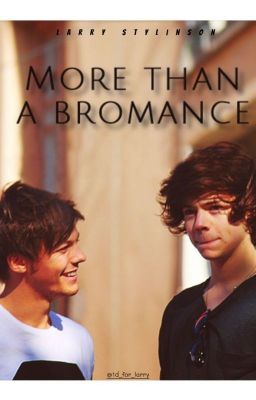 More than a bromance [Larry Stylinson] cover