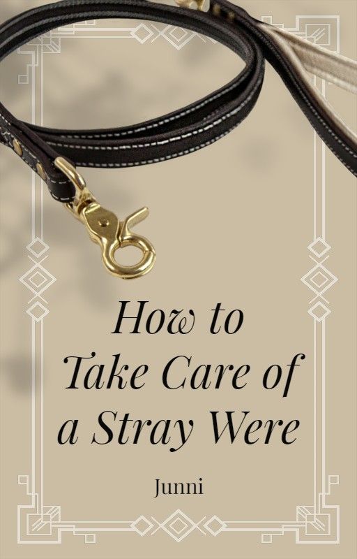 How to Take Care of a Stray Were by JunniWrites