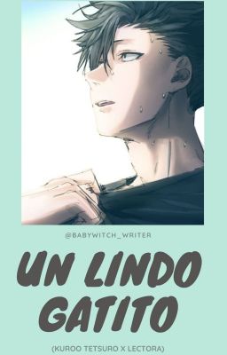 Un lindo gatito (Kuroo x Lectora) cover