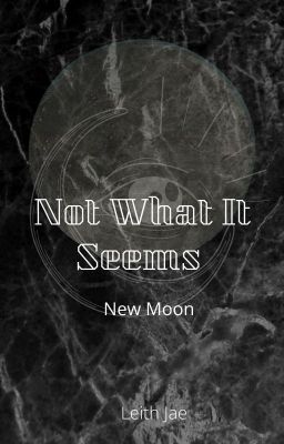 Not What It Seems: New Moon cover