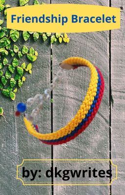 Friendship Bracelet cover