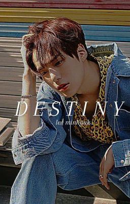 destiny ; lee minhyuk cover